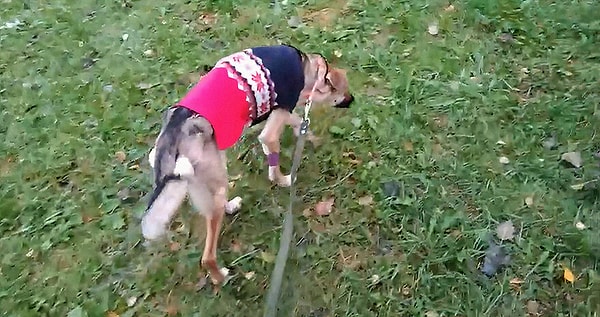 С каждым днем ее состояние улучшается.