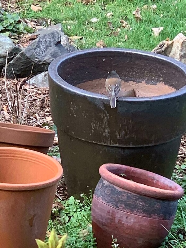 16. Не идеально, но вполне удовлетворительно