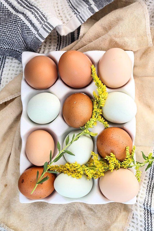 Yumurtaların ayrı renkte olmasının sebebi ise, tavukların kuluçka sürecinde neslini devam ettirmek istediği için yumurtayı yırtıcılardan koruma ve kamufle etme içgüdüsü.