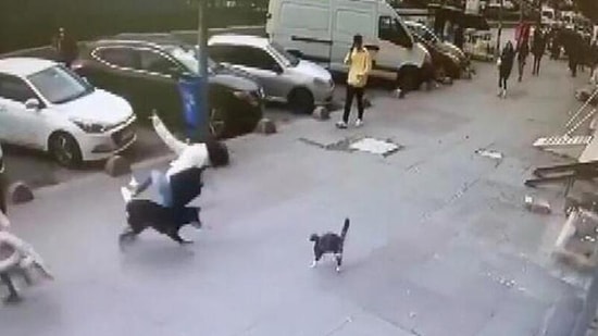Kediden Korkup Kaçarken Bir Kadına Çarpıp Düşüren Sokak Köpeği