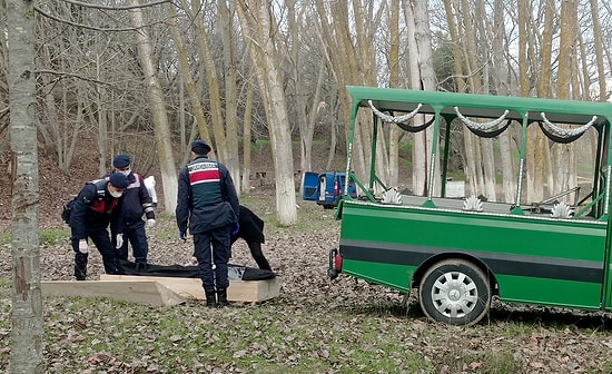 Mesire Alanında Yanmış Halde Cansız Kadın Bedeni Bulundu