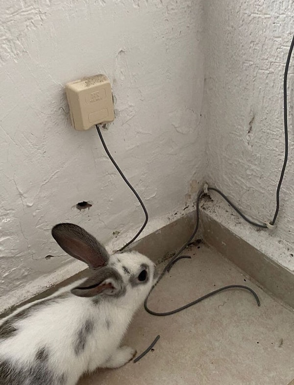 4. Интернет временно недоступен почему-то