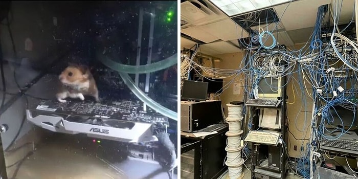 Сотрудники службы технической поддержки поделились 15 наихудшими случаями, которые они встречали на работе