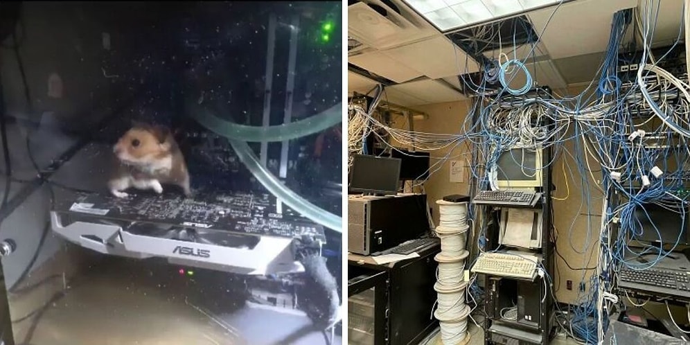 Сотрудники службы технической поддержки поделились 15 наихудшими случаями, которые они встречали на работе