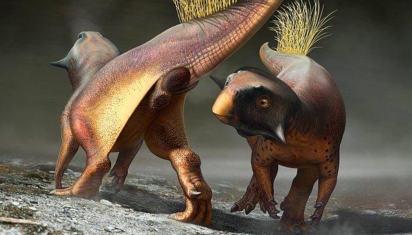 1. İlk korunmuş dinozor anüsünün mükemmel olduğu ortaya çıktı.