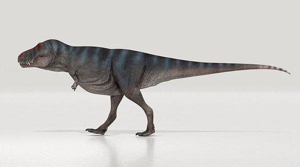 6. T. rex değil ama bazı dinozorlar çok hızlı koşardı.