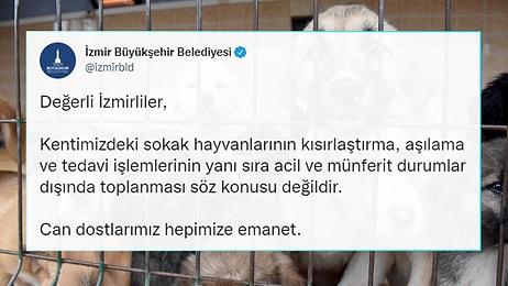 İzmir Büyükşehir Belediyesi'nin 'Sokak Köpeklerini Toplamayacağız' Açıklaması Tartışma Yarattı