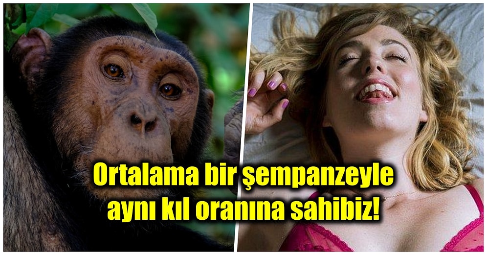 Vücudunuz Hakkında Öğrendikten Sonra Aynada Kendinize Bir Daha Aynı Şekilde Bakamayacağınız 32 Sıra Dışı Bilgi