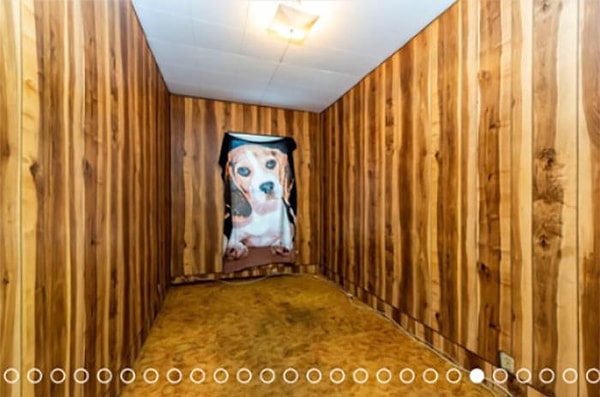 4. Инфлюенсеры в сфере дизайна интерьера уже предсказывают тренд в новом году с изображением собак, напечатанных на полотенце, висящем над единственным окном в деревянной комнате.