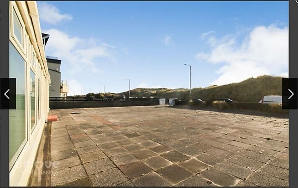 19. Новый сад Зака сэкономил ему целое состояние на лекарства от сенной лихорадки.