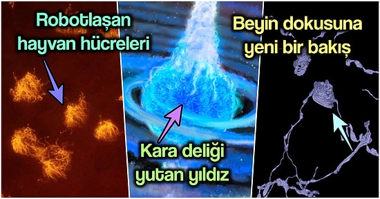 2021’de Bilim Dünyasında Yaşanan ve Evrenle Hayatın İlginçliğini Yüzümüze Vuran En Acayip Gelişmeler