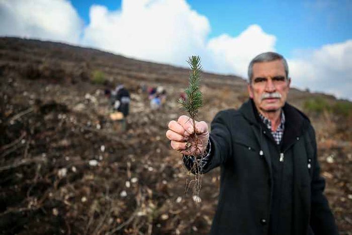 Diktiği Bir Fidan, Şimdi Orman! Çorak Araziyi Koca Ormana Dönüştüren Memurun 20 Yıllık Emeği Fotoğraflarda