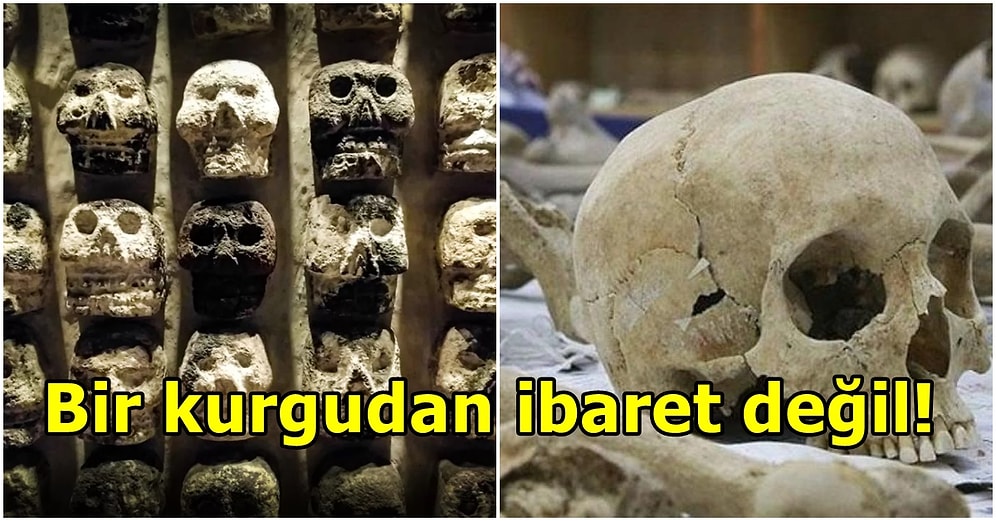 Tarihi 900 Bin Yıl Öncesine Dayanıyor! Geçmişten Günümüze Yaşanmış Yamyamlık Örnekleri