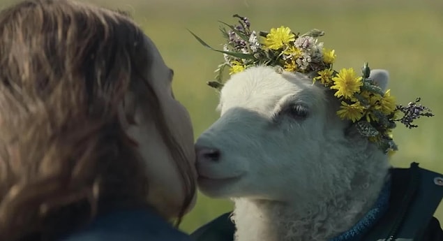 15. Lamb
