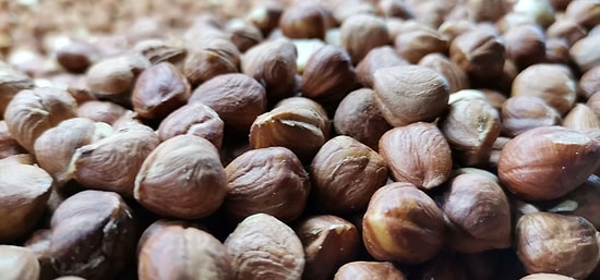 AB Türk Fındığında Kontrolü Kaldırdı