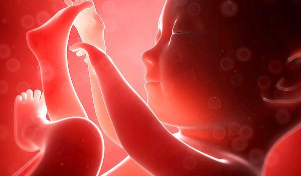 Çalışmalara göre babanın geni fetüsün daha büyük kan damarları ve daha fazla besin maddesi taleplerini yönlendirirken, annenin plasentadaki geni ne kadar besin sağladığını kontrol etmeye çalışıyor.