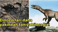 Galler'de Keşfedilen Dinozor Ayak İzlerinin Tam 200 Milyon Yıllık Olduğu Ortaya Çıktı