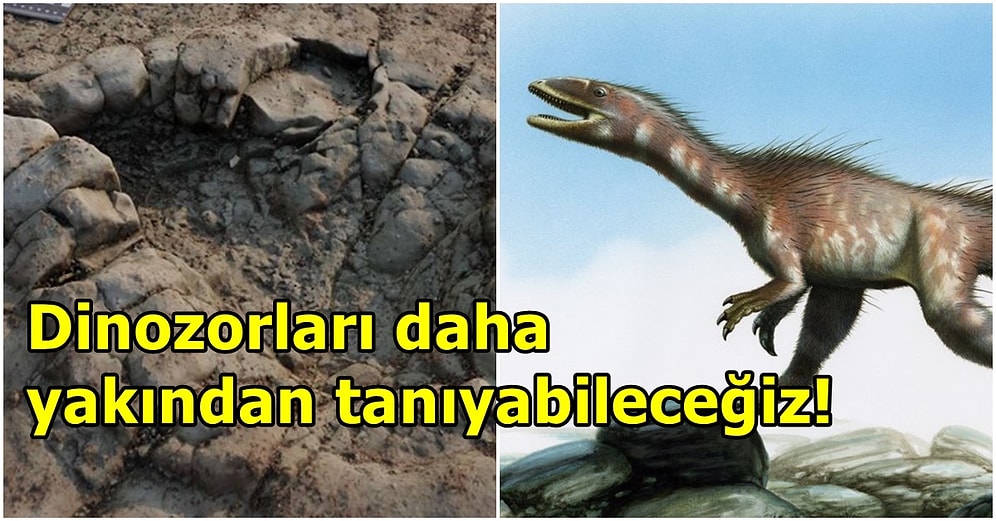 Galler'de Keşfedilen Dinozor Ayak İzlerinin Tam 200 Milyon Yıllık Olduğu Ortaya Çıktı