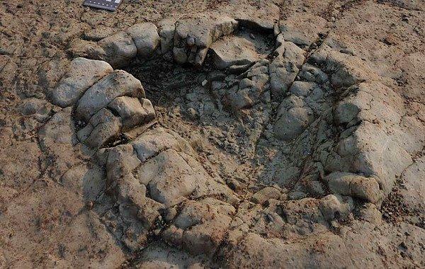 Araştırmacılar, Güney Galler'deki bir plajda bulunan dinozor ayak izlerinin aslında 200 milyon yıldan daha eski olduğunu keşfetti.