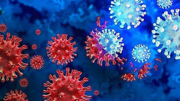 6. Britanya’da geniş çaplı bir araştırmayla, corona virüsünün Omicron varyantı nedeniyle hastaneye kaldırılma riskinin Delta’nın yaklaşık üçte biri olduğu ortaya çıktı.
