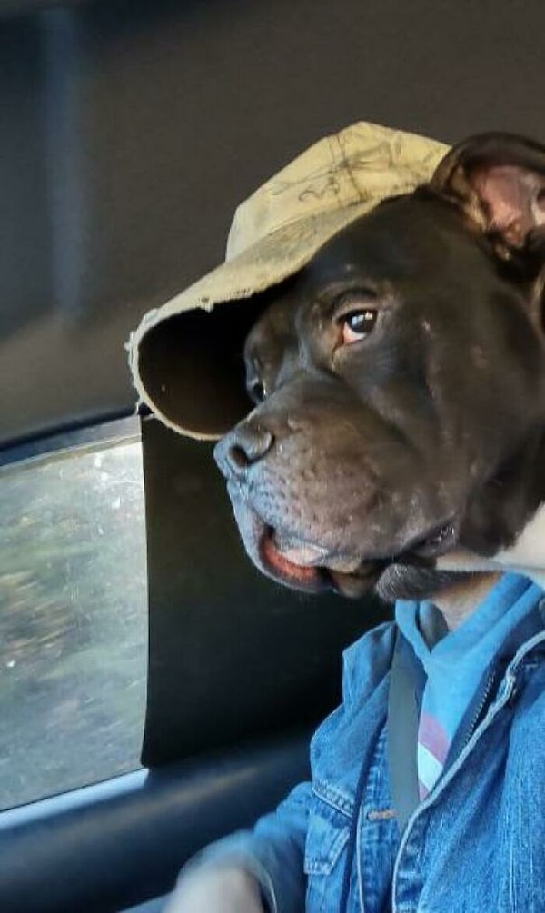 10. Просто мужик и его собака