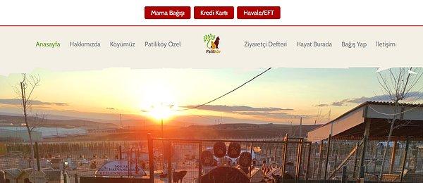 Sizler de mama bağışı, maddi yardım veya iletişime geçmek için Patiliköy'ün internet sitesini ziyaret edebilirsiniz: 👇