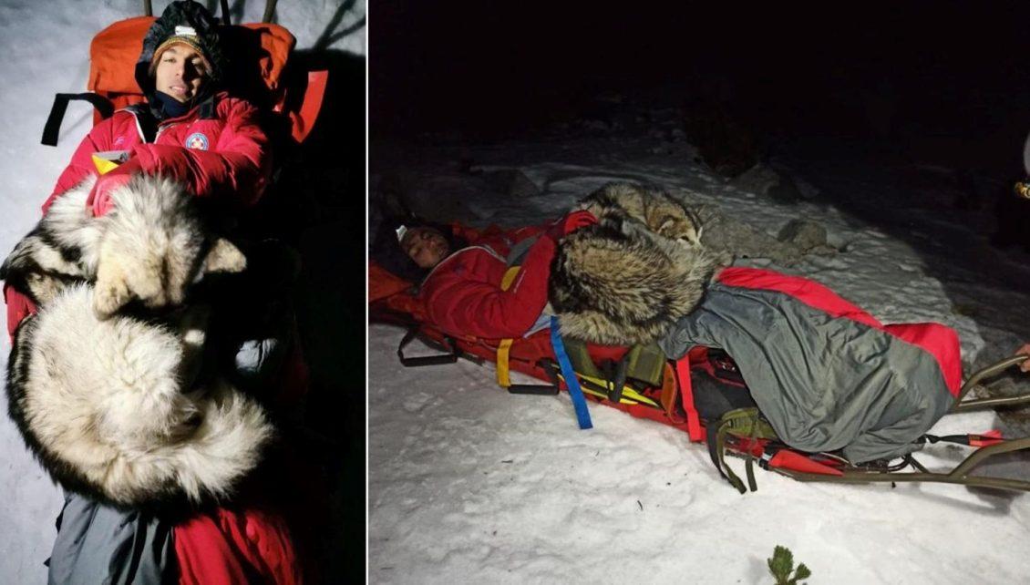 Раненный альпинист выжил благодаря собаке, которая согревала его на протяжение 13 часов