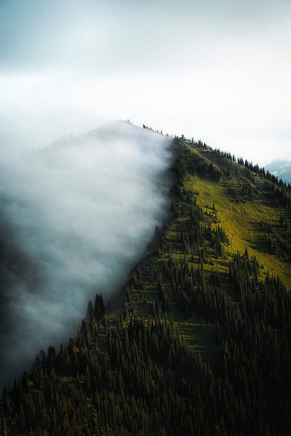 14. Washington Rainier Ulusal Parkı'nda sisli sabah...😍