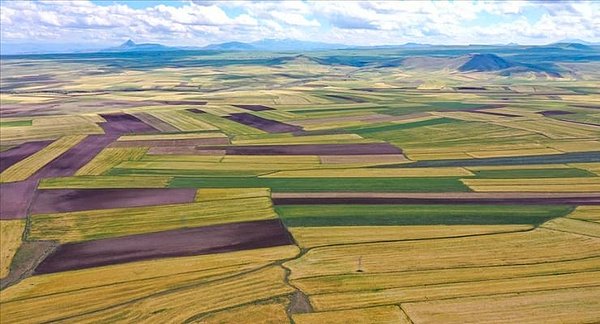 Bakır ve tarım arazisi de öneriyor