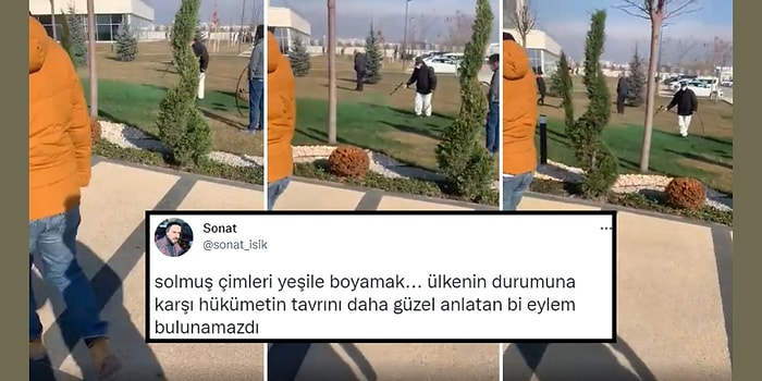Cumhurbaşkanı Erdoğan Gelecek Diye Solmuş Çimlerin Yeşile Boyanması Sosyal Medyanın Gündeminde
