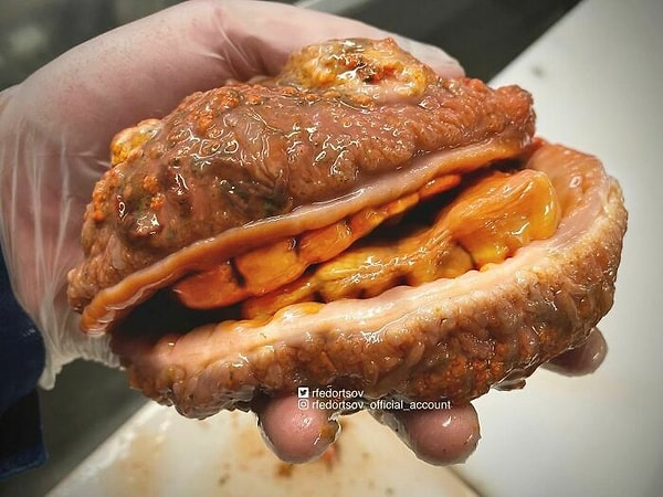 11. "Это морской чизбургер с зубами?"