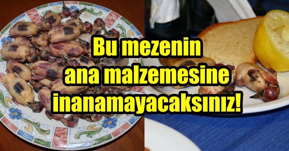 Her Kuşun Eti Yenmez Diyenler Bir Daha Düşünsün! Kıbrıs'ın Yerel Lezzeti Pulya Kuşu Turşusu
