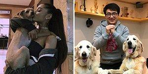 15 знаменитостей, которые открыто демонстрируют свою безмерную любовь к собакам