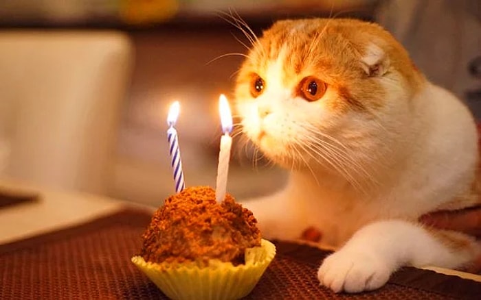 En Güzel ve En Anlamlı Doğum Günü Mesajları! İşte Sevdiklerinize Özel Hissettirecek Farklı Yaş Günü Sözleri...