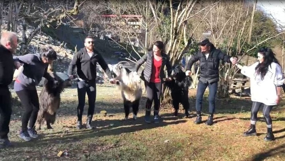 Artvin'de Horon Tepen Vatandaşlar Keçileri de Horona Dahil Ettiler