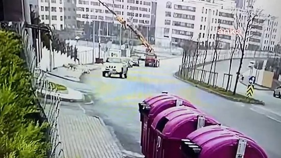 Başakşehir'de Köpeği Bile Bile Ezen Sürücü Tutuklandı