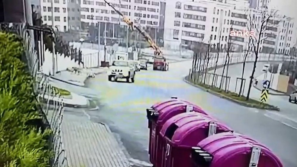 Başakşehir'de Köpeği Bile Bile Ezen Sürücü Tutuklandı