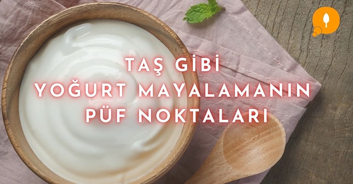 Evde Taş Gibi Yoğurt Mayalamanın Tüm Püf Noktalarını Paylaşıyoruz!