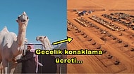 Deve Kulübü Duyurdu: Dünyanın İlk Beş Yıldızlı Deve Oteli Suudi Arabistan'da Açıldı!