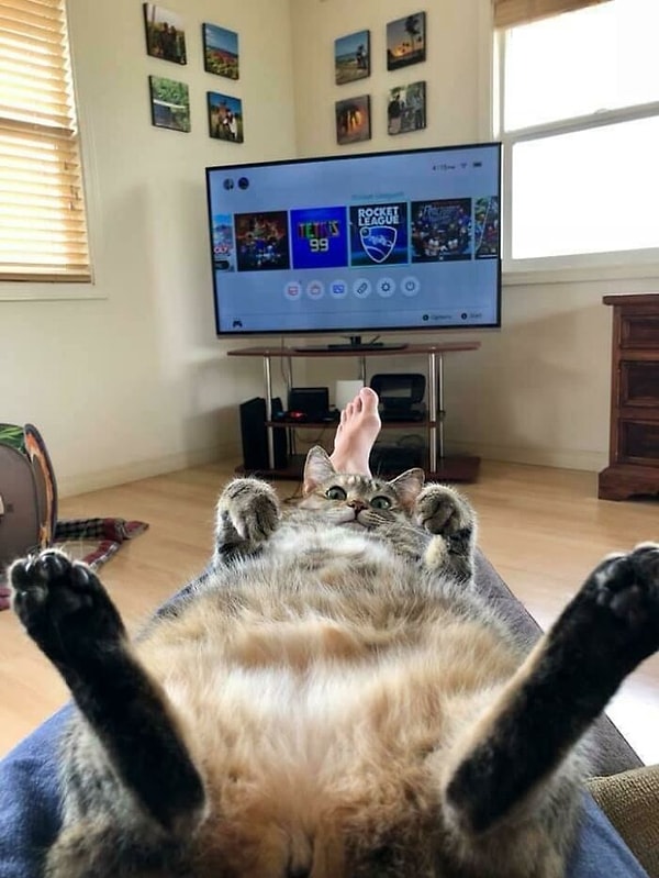 5. Любовь всей жизни