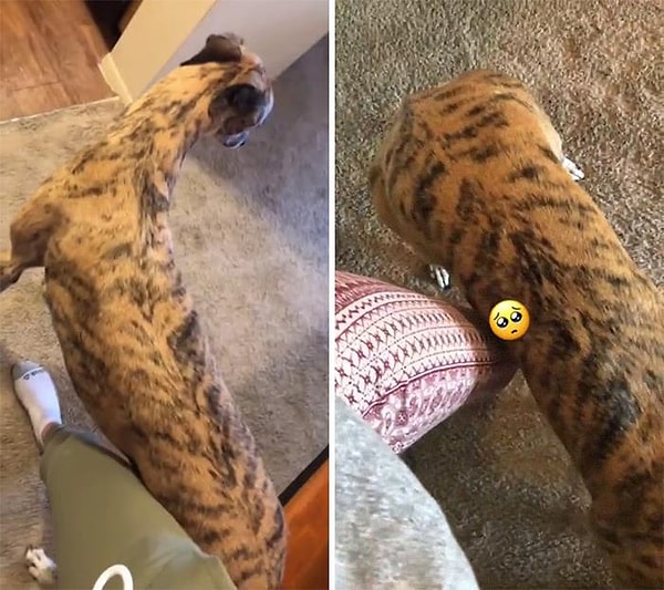 1. Опирается на вас