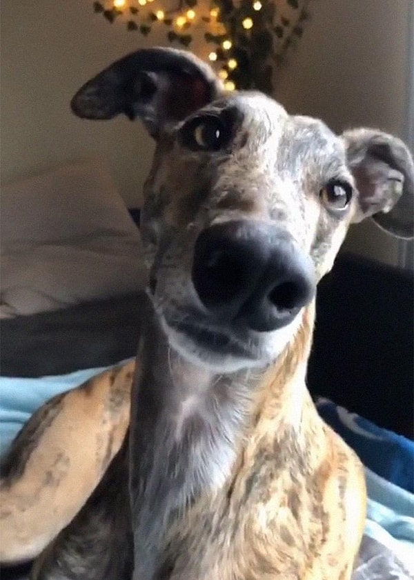 4. Чувство вины