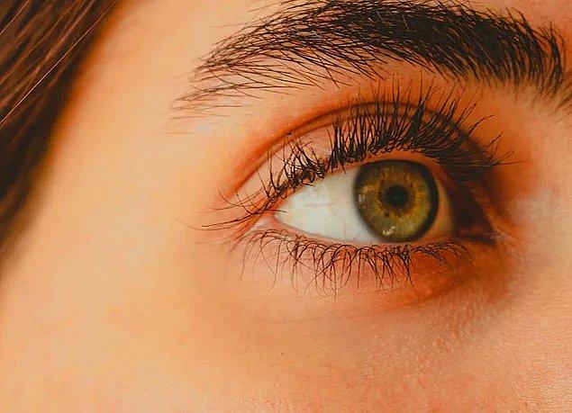 9. Gözlerde optik sinirlerin gözden beyne doğru yol aldığı bir kör nokta bulunur.