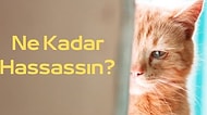Ne Kadar Hassassın?