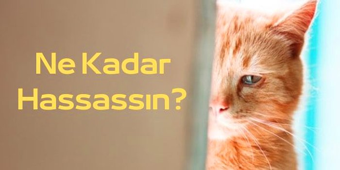 Ne Kadar Hassassın?