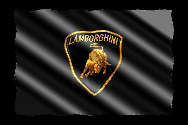 Lamborghini, 2019 yılında ISS'ye (Uluslararası Uzay İstasyonu) gönderilen karbon fiber malzemeden henüz adı açıklanmayan bir sanatçının oluşturduğu uzaydan ilham alan sanat eserini tanıttı.