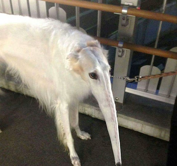 3. Хейтеры скажут, что это фотошоп