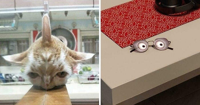 15 фотографий отражений на объектах, которые изменят ваше восприятие мира