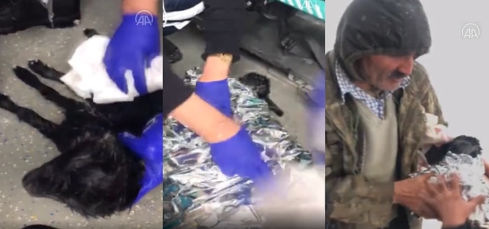 Van Çatak'ta Sağlık Ekiplerinin Donmak Üzere Olan Oğlağa Müdahale Ettiği Görüntüler İçinizi Isıtacak