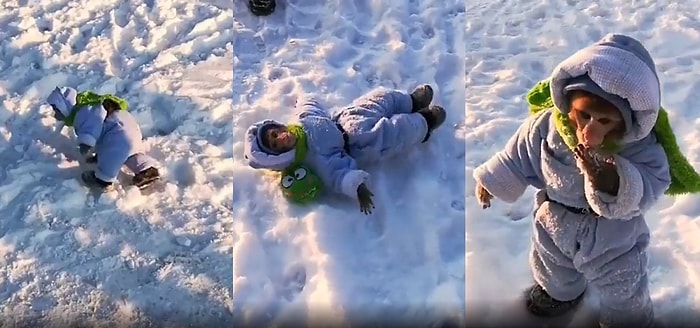 Karın Tadını Sadece Çocuklar Çıkaracak Değil Ya: Maymunun Karla Tanıştığı Tatlı Anlar